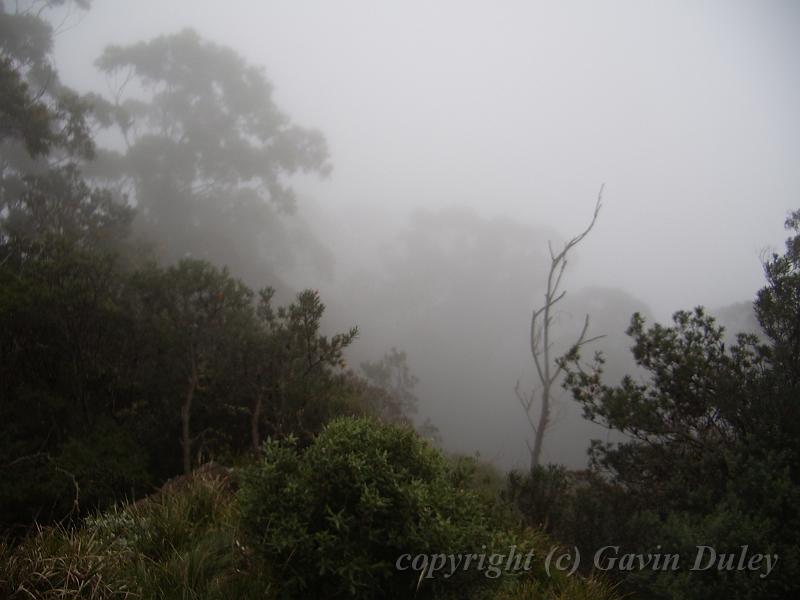 Fog, Point Lookout IMGP8792.JPG